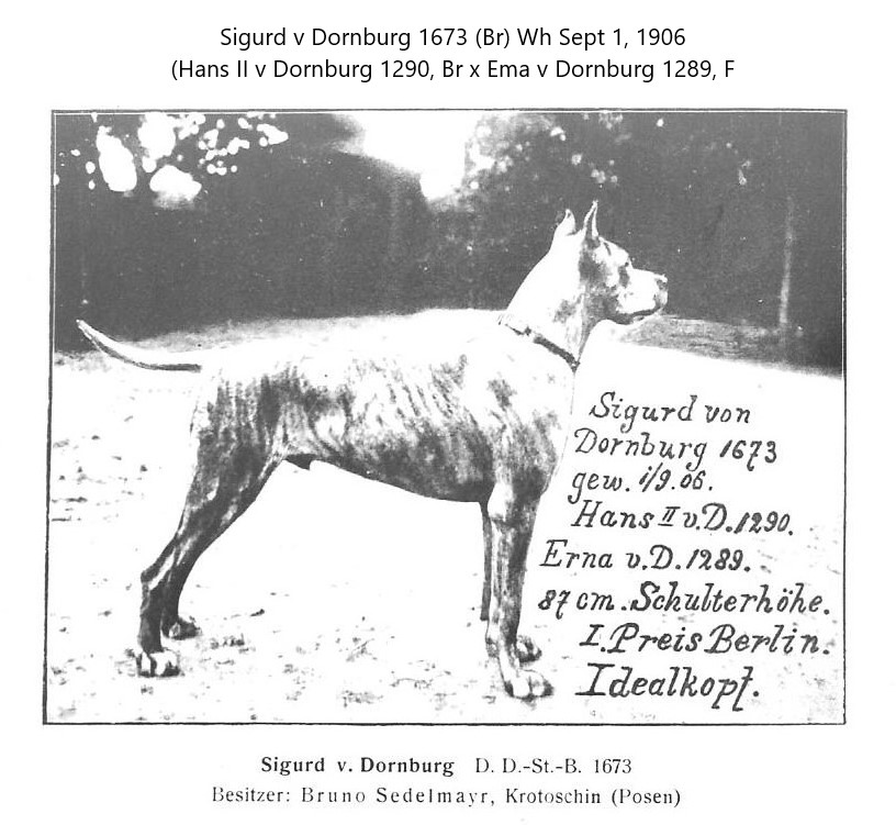 Sigurd v Dornburg